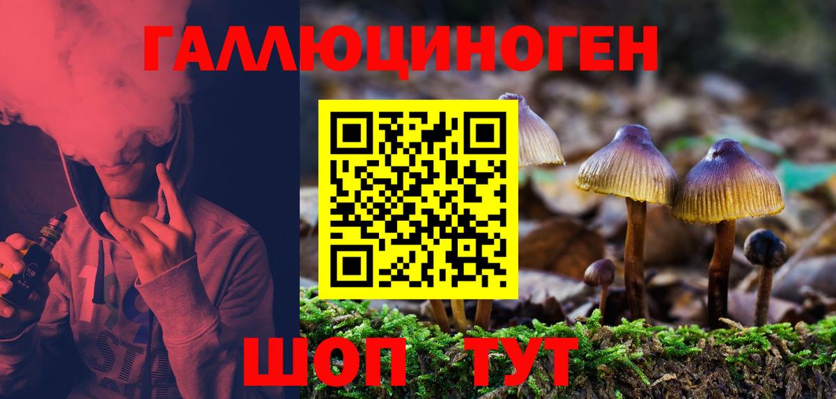 Галлюциногенные грибы ЛСД Партизанск